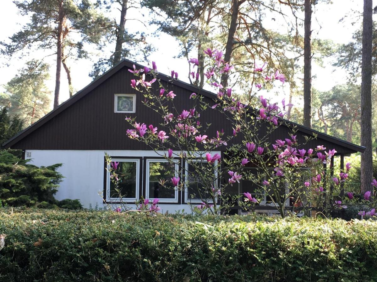 Komplettes Ferienhaus Potsdam Berlin Gaestehaus In Seenaehe 95Qm2 Monteurzimmer 外观 照片